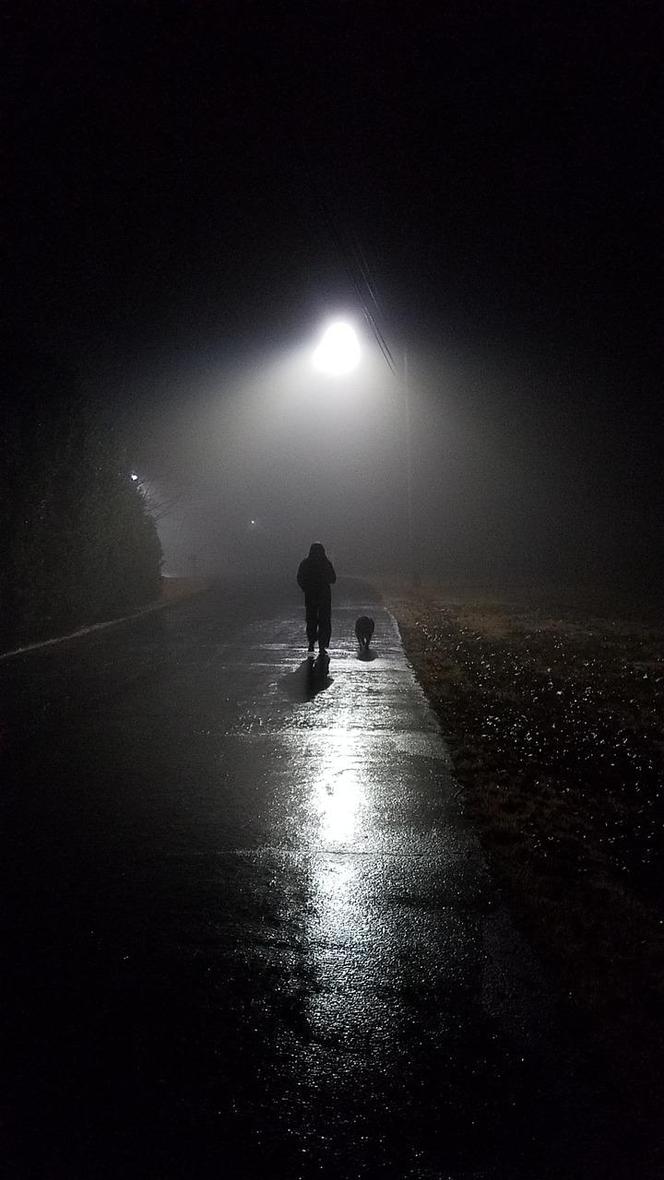 Robi się coraz ciemniej. Świeć przykładem na drodze​