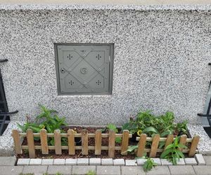 Mieszkanka Mokotowa musi zapłacić karę za posadzenie kwiatów. Kwota powala na kolana! Urząd mówi jasno