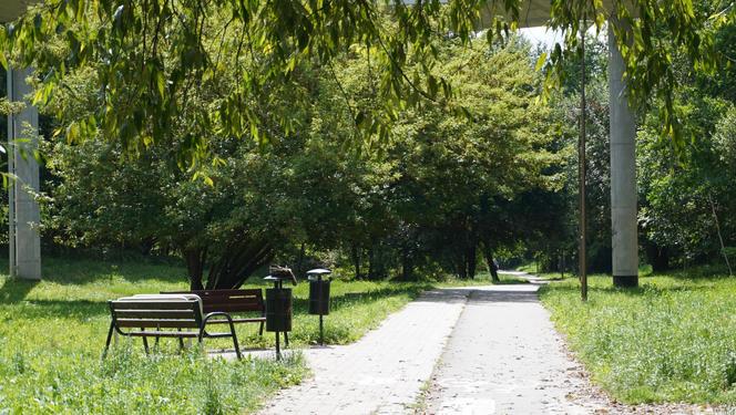 Wakacyjny spacer pod kładką nad wąwozem na Czubach. To jedno z najbardziej zielonych miejsc w Lublinie!