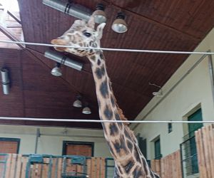 Gdański Ogród Zoologiczny jesienią