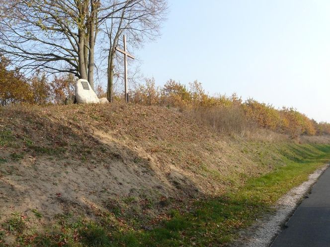 Pomnik bitwy pod „Drzu" (1091) przy drodze z Drzycimia do Gródka - tablica z napisem.