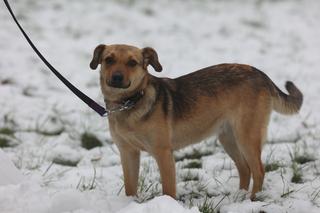 Park Ludowy w Lublinie skąpany we mgle