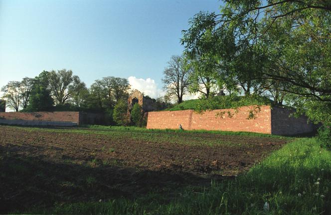 Zamek w Dankowie