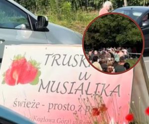 Śląskie: Czekał dwie godziny w kolejce po truskawki 