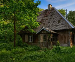 KAMPINOSKI PARK NARODOWY