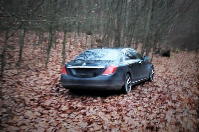 Mercedes-Benz Klasy S porzucony w lesie