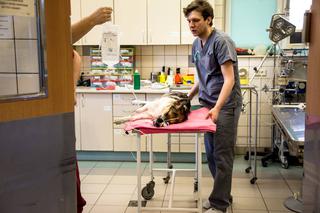 Forest jeszcze pobiegniesz