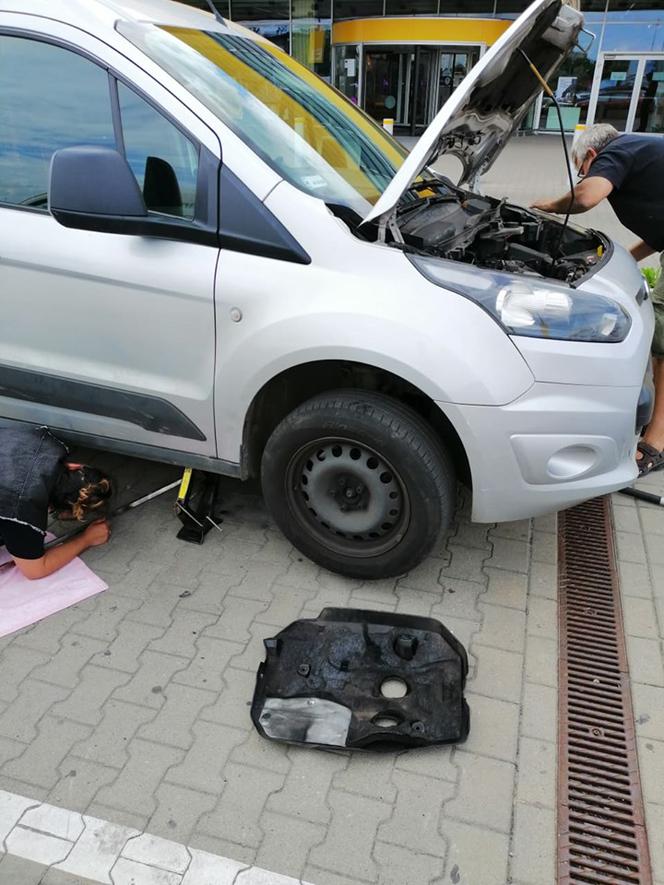 Tak KTOZ ratował bezbronnego zwierzaka