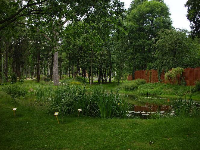Ogród botaniczny