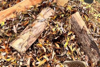 Nowe życie Daniela Martyniuka. Szok, co udostępnił w sieci