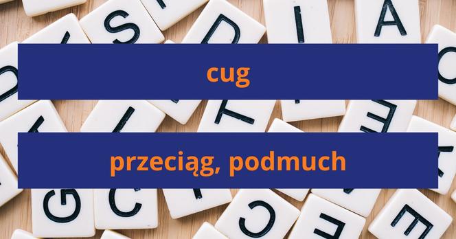 Słownik gwary poznańskiej - znasz najważniejsze słowa?