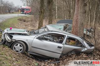 Tragiczny wypadek w Łuczynie na Dolnym Śląsku