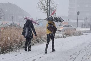 Atak zimy w Polsce. Są szanse na białe święta! Kiedy zacznie padać śnieg? 