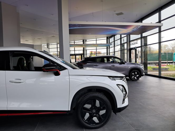Nowoczesny SUV, który podbija polskie drogi