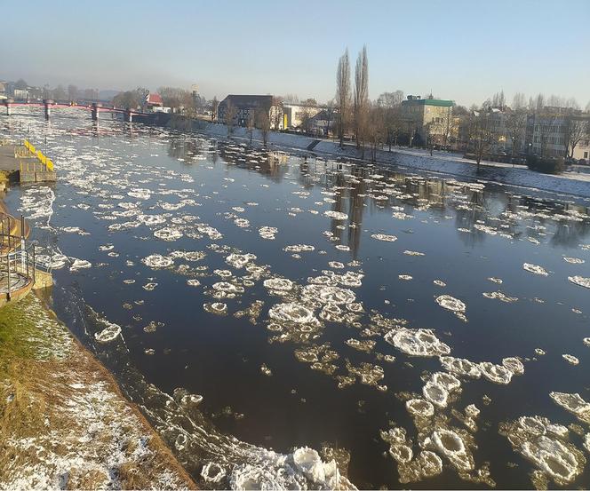 gorzów Warta śryż 2