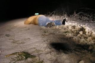 Potrącił psa, myślał, że zabił też sąsiada. Nie zniósł wyrzutów sumienia