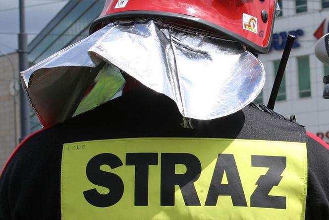 Ewakuacja wieżowca w Zielonej Górze