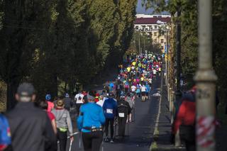 VIII PKO Półmaraton Gliwicki