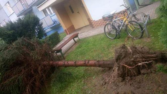 Skutki burzy w Rzeszowie