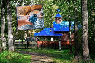 Puszcza Białowieska skrywa święte źródło. Pielgrzymi mówią o cudach