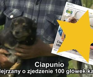 Ciapunio z woj. lubelskiego gwiazdą internetu! 