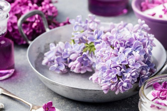 Liliowy syrop z kwiatów bzu lilaka – aromatyczna perełka z ogrodu pełna smaku i zdrowia!