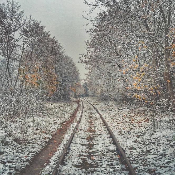 Zimowa sceneria w Łodzi