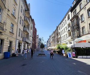 Katowice jak patelnia. Obowiązuje ruch cieniostronny. Nawet gołębie chowają się w cieniu