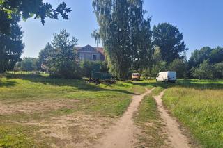 Zapuszczone parki w Olsztynie zyskają nowy blask. Miasto ogłosiło przetargi