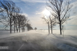 Ciężarówki blokują główne trasy na Dolnym Śląsku. Potężne korki na DK8 i DK35