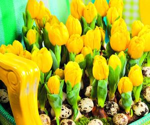 Wielkanocne dekoracje - tulipanowe gniazdko