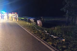 Autobus wpadł do rowu! Siedem osób poszkodowanych