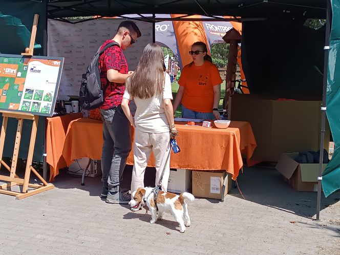 II Spacer Śladami Kliforda w Grudziądzu