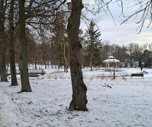 Nałęczów - Park Zdrojowy zimą