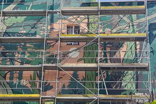 Mural Sosnowy początek w Sosnowcu