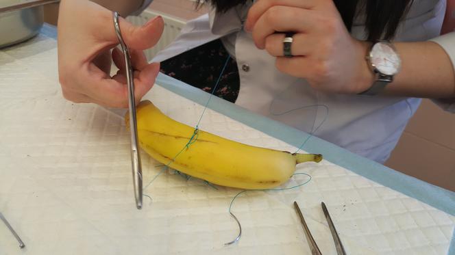 Drzwi Otwarte w Collegium Medicum UMK