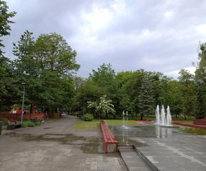 Park miejski w Tomaszowie Lubelskim