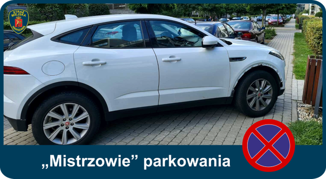 Mistrzowie parkowania. Tak kierowcy parkują w Warszawie