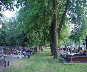 Cmentarz Farny (ul. Wesoła)