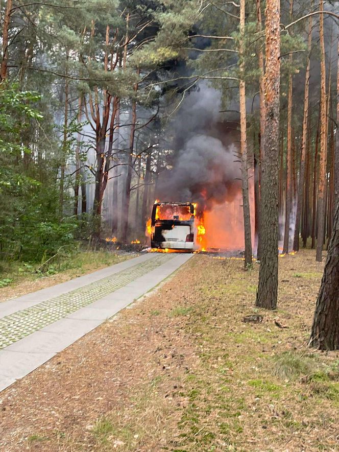 Pożar autobusu z przedszkolakami w Wielkopolsce! W pojeździe było 44 dzieci i 5 opiekunów