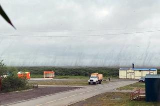 Szok! Tornado z komarów. Inwazja jakiej jeszcze nie było