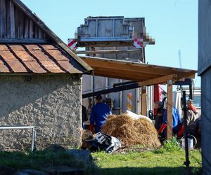 Horror koło Ostródy. Zwierzęta konały bez światła, wody i jedzenia
