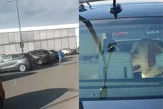 Nastolatka chciała pomóc psu zamkniętemu w rozgrzanym aucie. Właściciel zagroził jej pobiciem. „Zwierzę było w stanie krytycznym”