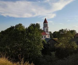 Grodzisko w Surażu, zwane również Górą Królowej Bony