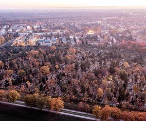  Setki migoczących zniczy. Tak wyglądają polskie cmentarze po zmroku. Zobacz niezwykłe zdjęcia