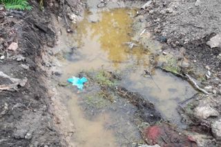 Zabili Tomka i zakopali w ogrodzie 