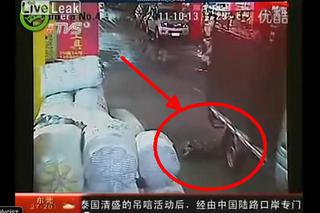 2-latka przejechana przez dwa samochody. Nikt nie pomógł konającemu dziecku