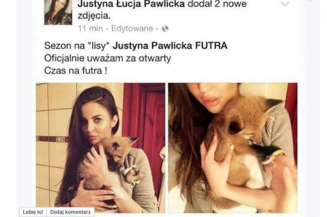 justyna pawlicka