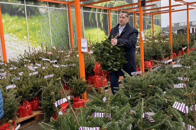 Przemysław Czarnek kupuje choinkę dla wnuka