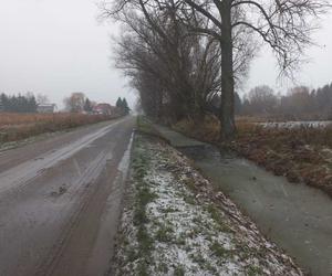 Wypadek w Żurawcu. Auto wpadło do rowu wypełnionego wodą [ZDJĘCIA]